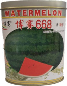 博赛668